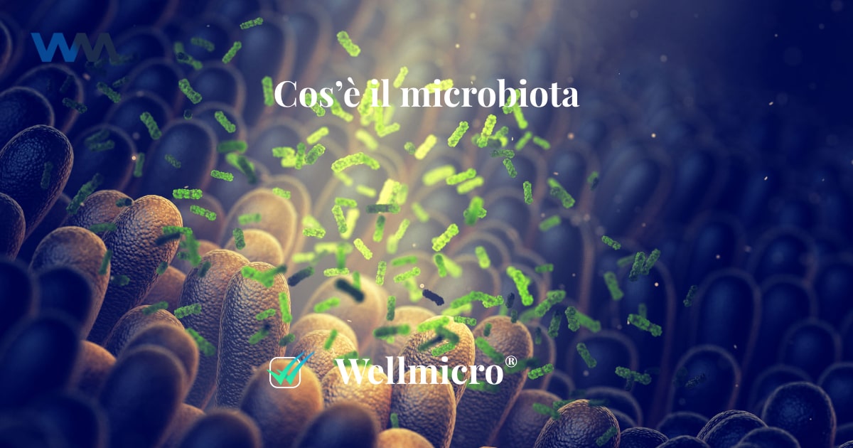 Cos'è Il Microbiota Intestinale | Wellmicro