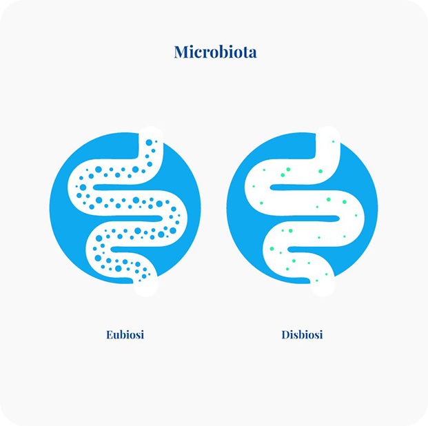 Microbiota: eubiosi e disbiosi
